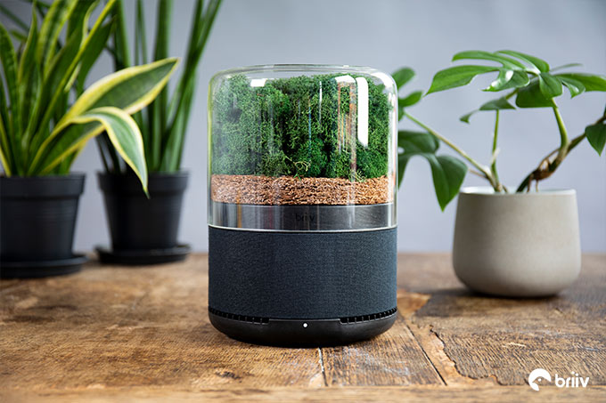 air purifier by briiv